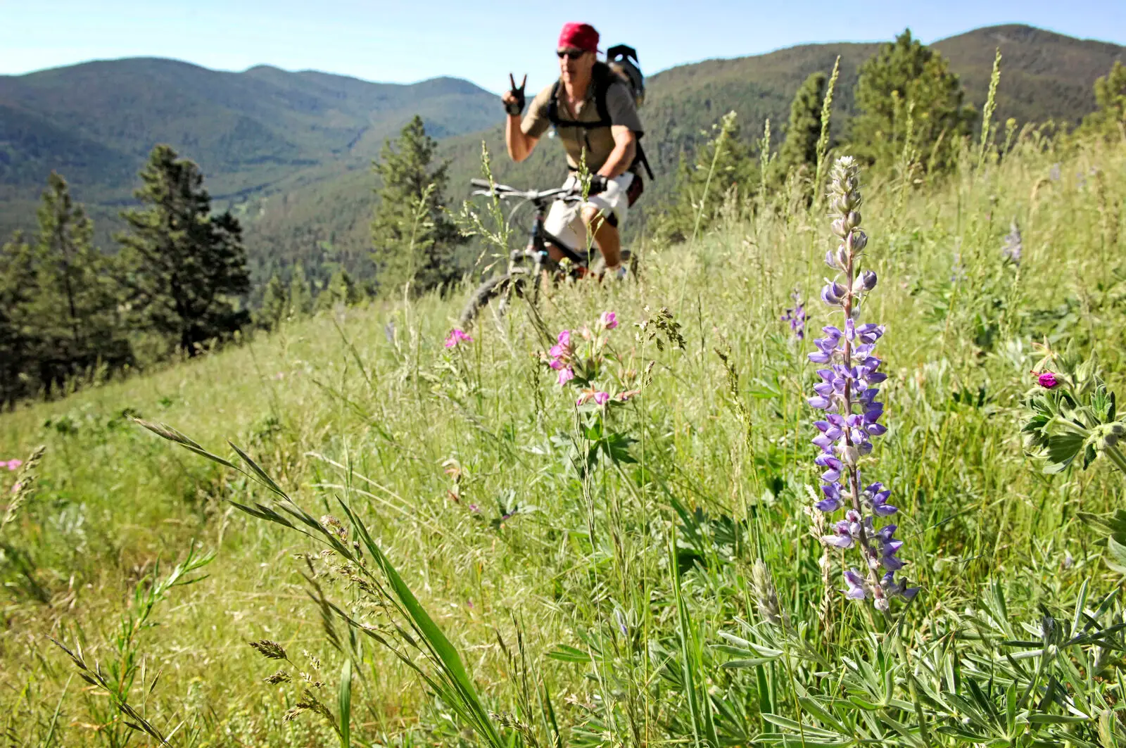 Mount Helena City Park offers quick downtown access to trails