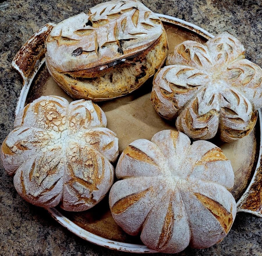 Cape and Islands NPR explores how home bakers reuse sourdough discard