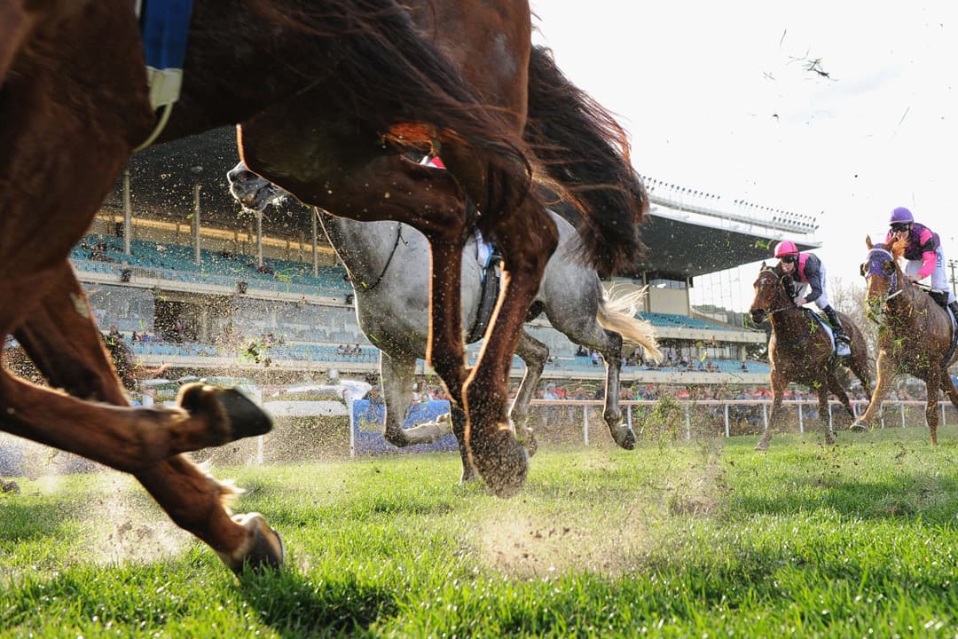 Structor gets first Japan winner as Yakumo Venus wins debut