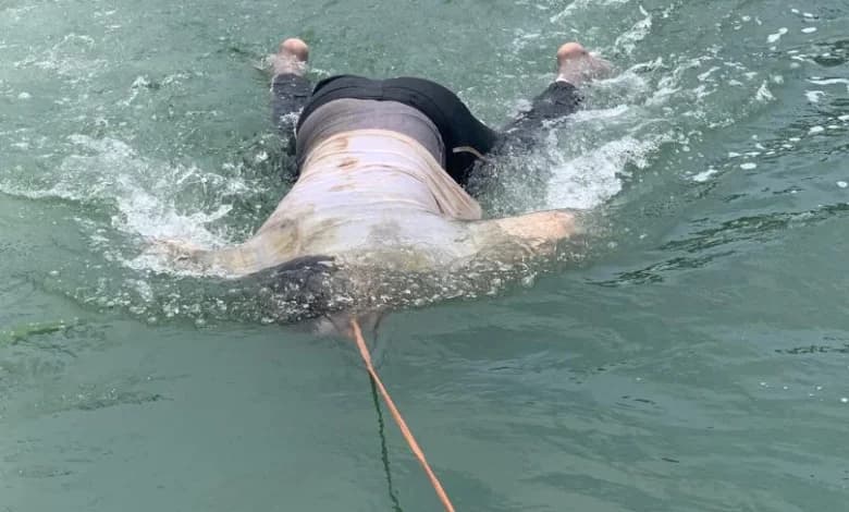 Body Found at Lagoon Point After Washing Ashore, Officials Say