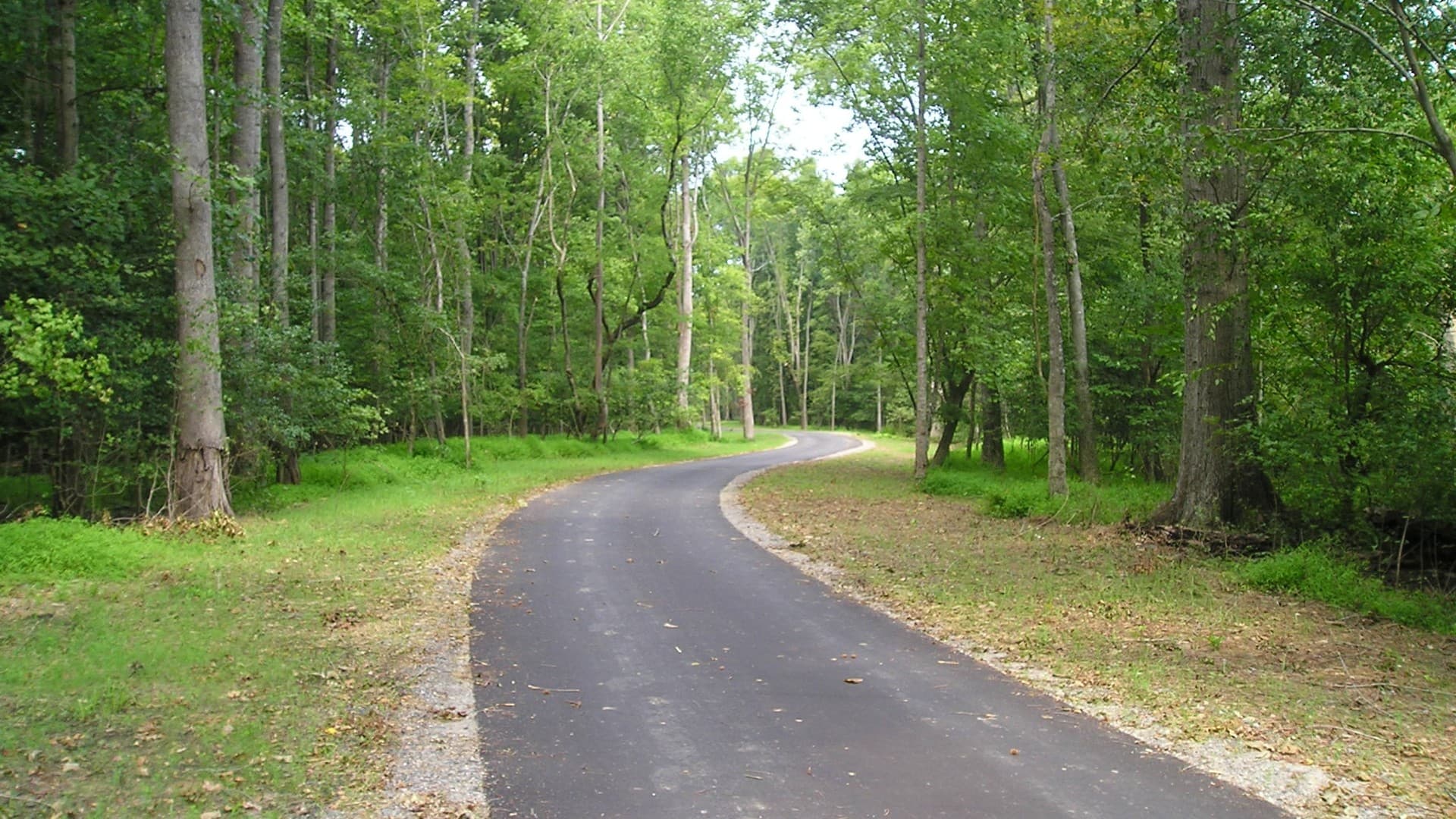 Raleigh man charged after indecent exposure on Rocky Branch Trail