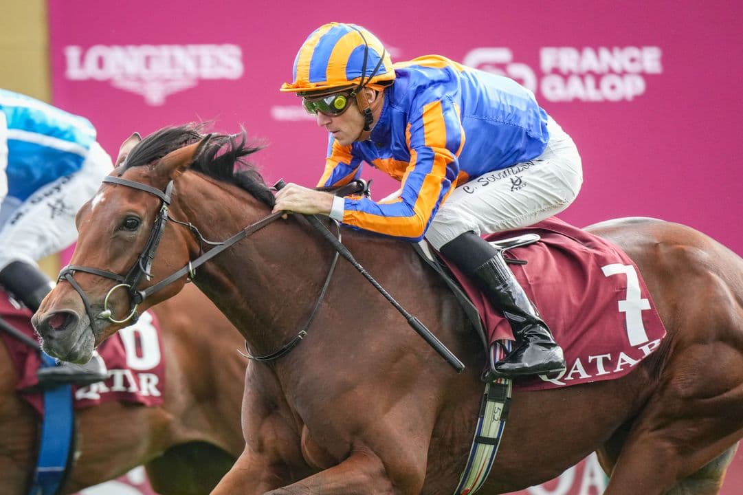 Diamond Necklace lands French 1,000 Guineas for O'Brien, stays unbeaten