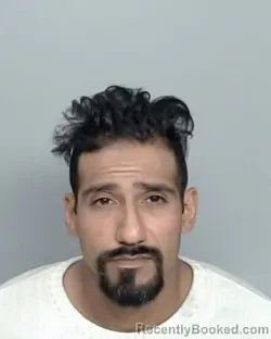 Nye County Man, 33, Faces Felony Charge for Firearm Possession