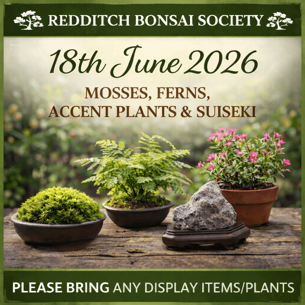 Redditch Bonsai Society highlights moss, accent plants and suiseki