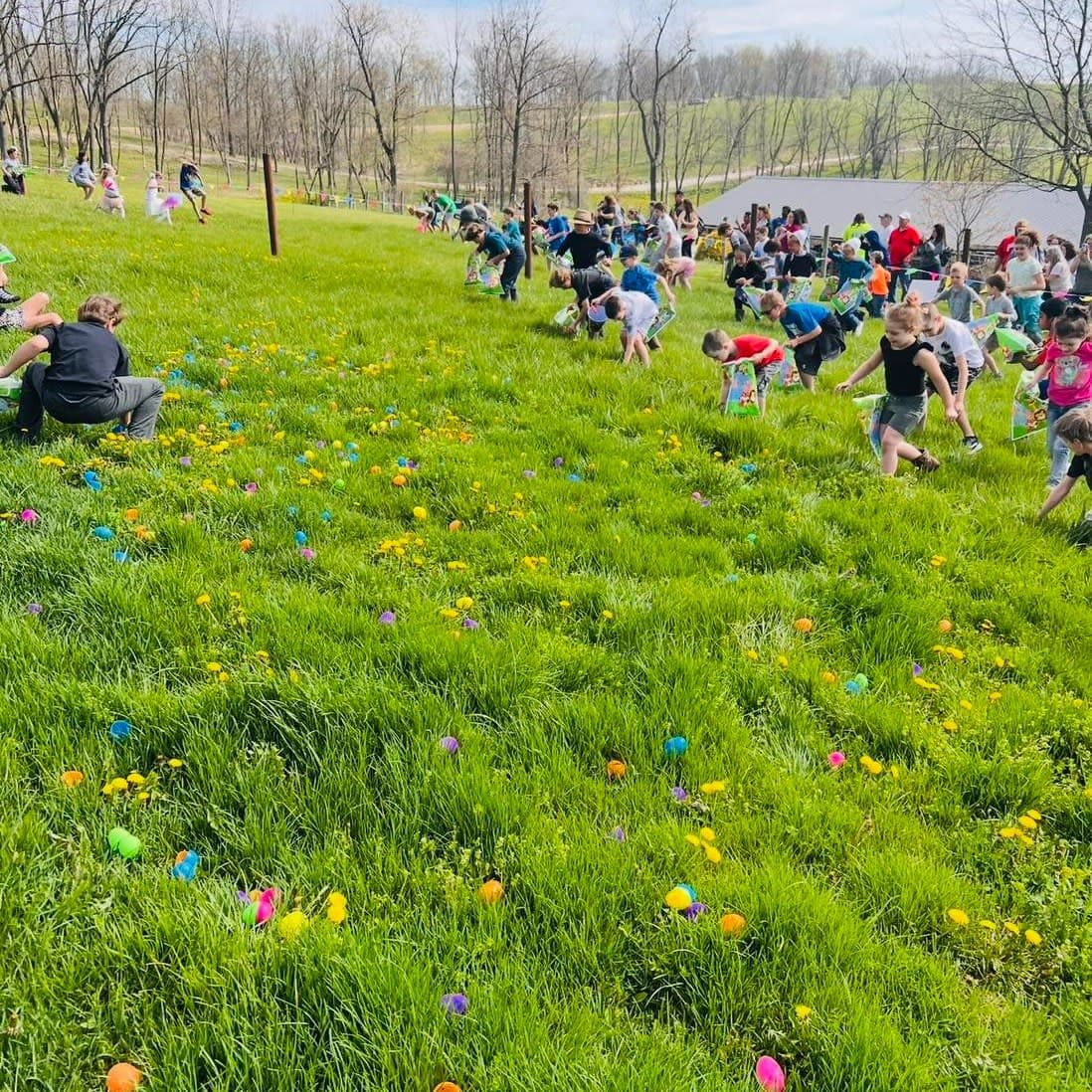 Farm at Walnut Creek Hosts Easter Adventure with Helicopter Egg Drops April 11