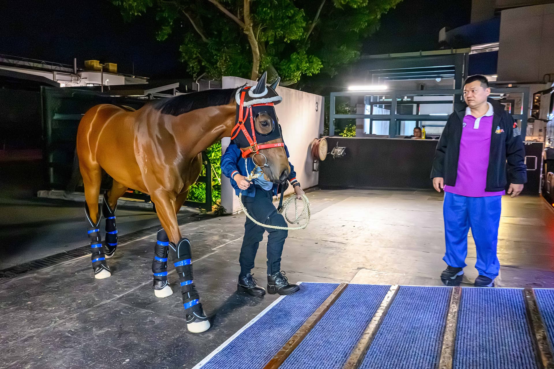 Manfred Man-trained Self Improvement Flies to Riyadh for G2 Dirt Sprint