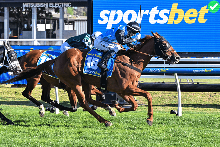 Godolphin, Halo Racing Lead Inglis March Late Online Sale With 450 Lots