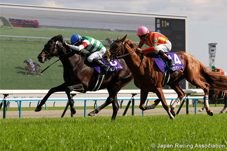 Croix du Nord to Run in Tenno Sho Spring, Following Sire Kitasan Black