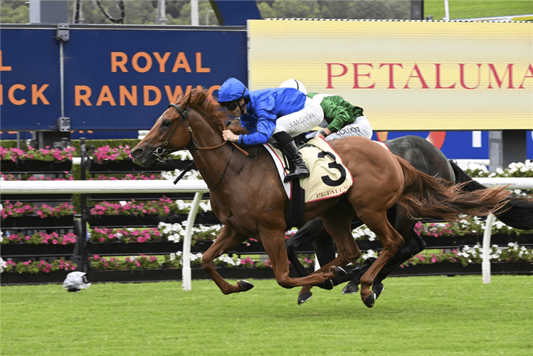 Chayan Charges to Petaluma Reisling Stakes Win, Boosts Golden Slipper Hopes