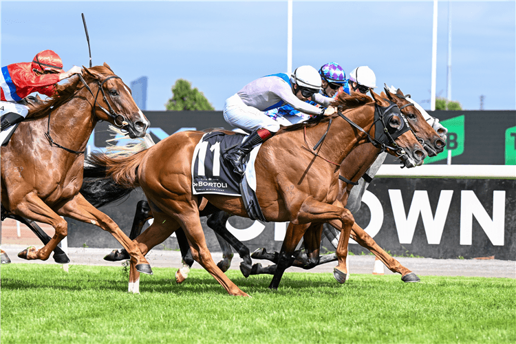 Ahha Ahha digs deep to claim first black-type Group 3 Matron Stakes