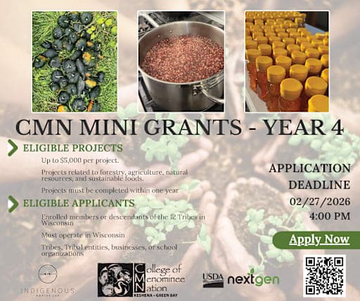 Menominee Tribe seeks board member for College of Menominee Nation