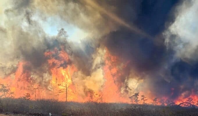 Southampton Pine Barrens wildfire plan follows Westhampton Pines fire lessons