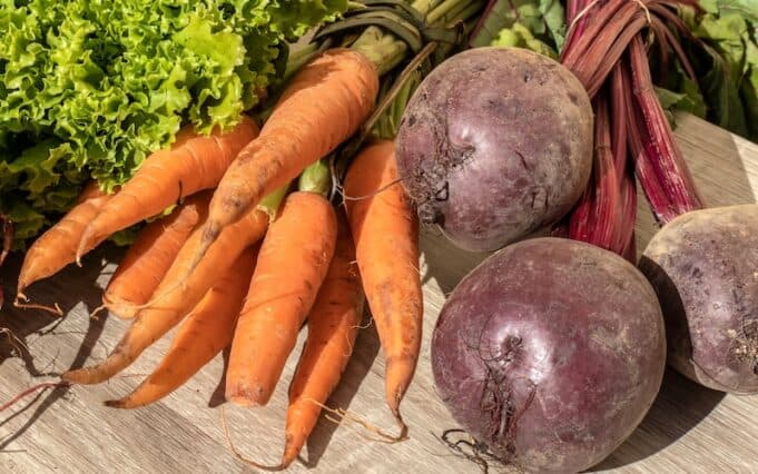 PFAS Found in 23 Vegetables From Eight Suffolk County Farms