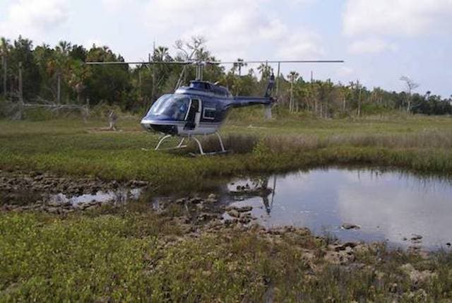 Suffolk County to treat Riverhead, Flanders and Southold marshes for mosquitoes