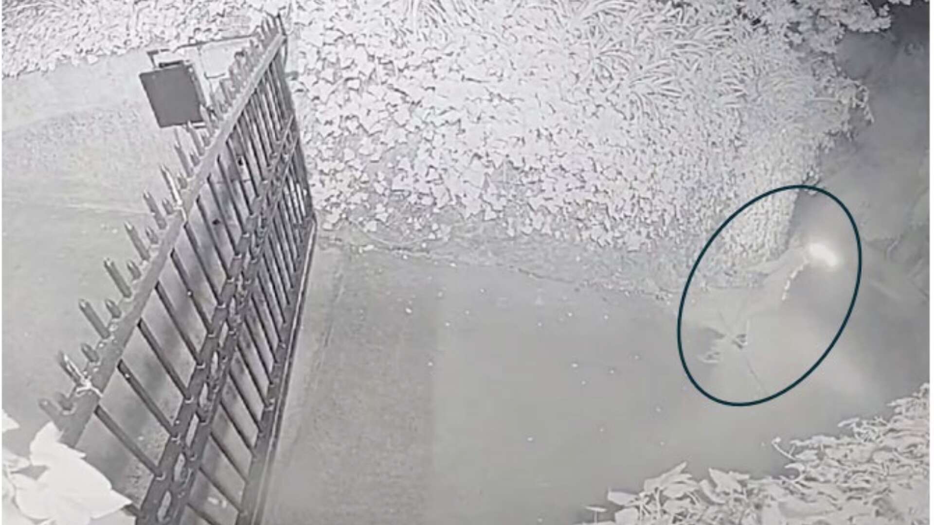 Texas man accused of firebombing Sam Altman’s home over A.I. fears