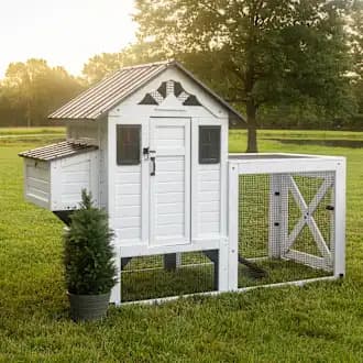 Costco sells farmhouse-style chicken coop as backyard flocks surge