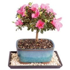Unique Mother’s Day gifts for a one-of-a-kind mom this summer