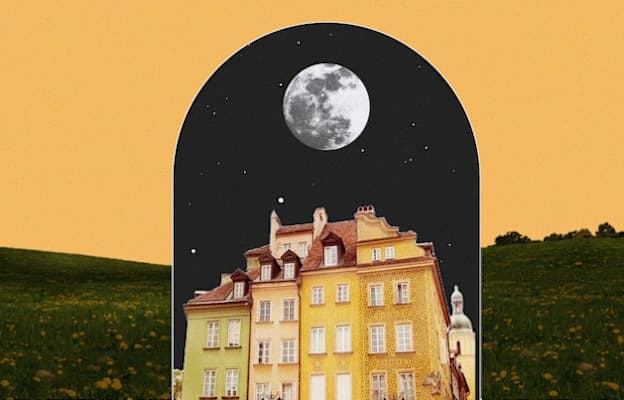 Peppa the Mini Jack Russell's Zoomies Reveal Breed's Intense Exercise Needs