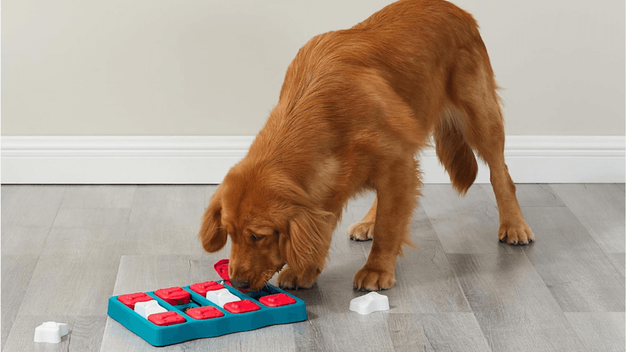 Kendra Scott’s heart hoop earrings are 50% off for Mother’s Day gifting