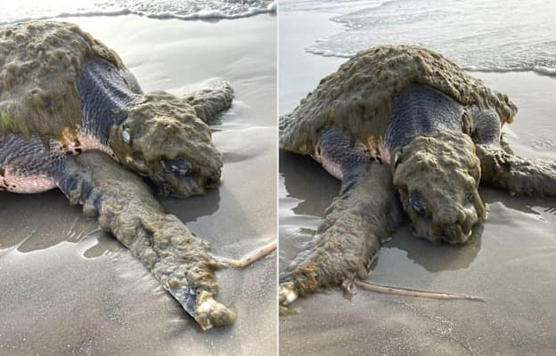 McDowell County Residents Face Approaching FEMA Flood Buyout Application Deadline