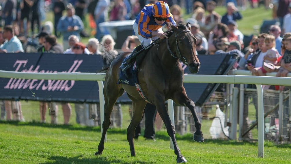 O'Brien's Oaks and Derby trial domination points to more Classic winners