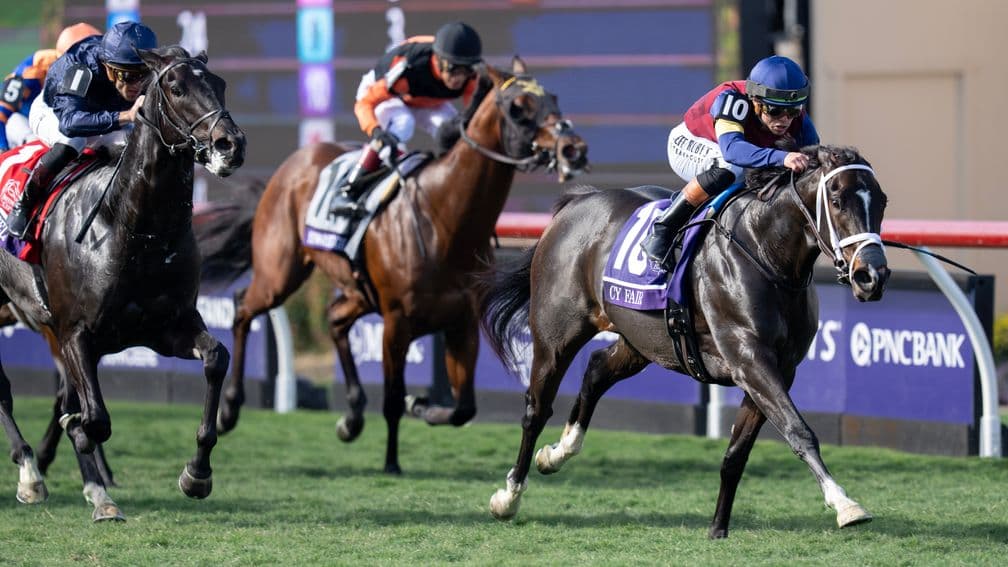 Weaver scraps Royal Ascot plan for Cy Fair, targets Saratoga rights