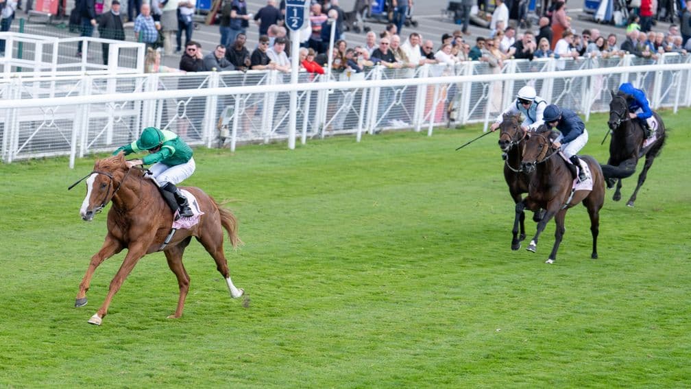 Benvenuto Cellini emerges as Derby favorite after Chester Vase win