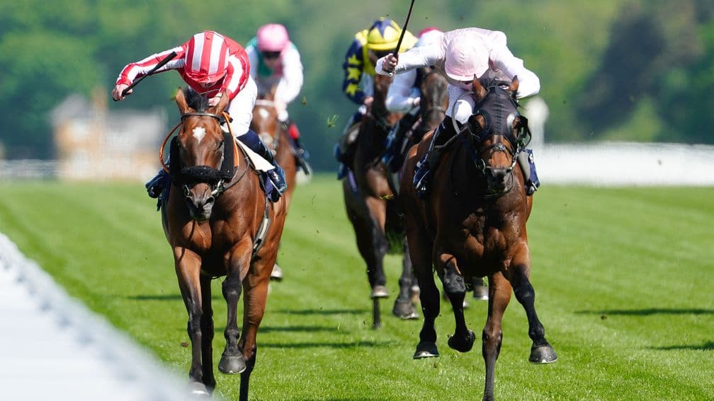 Sweet William edges Caballo de Mar in tight Sagaro Stakes finish