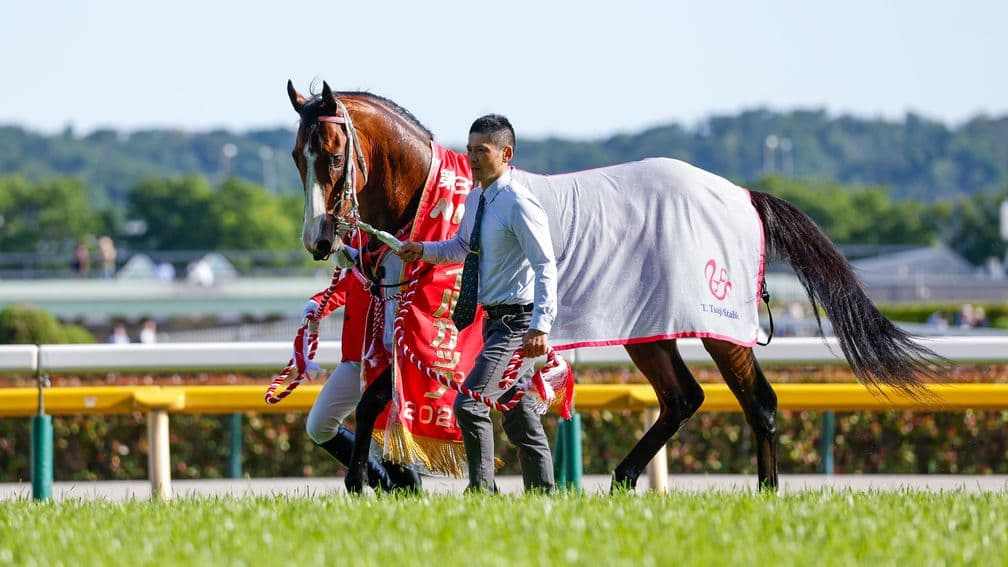 Rodeo Drive lands NHK Mile Cup by a nose at perfect distance