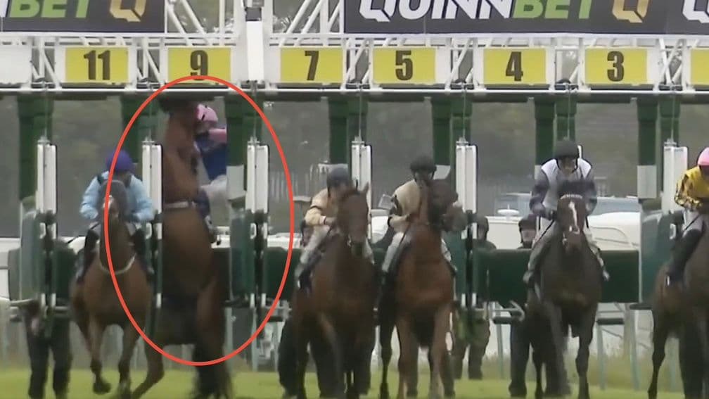 Yarmouth stewards spark fury after declaring rearing horse a runner