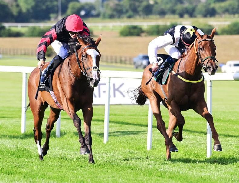 Rebel Moon lands Naas Group 3, O'Brien sees more to come