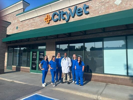 Lone Tree spotlights CityVet, locally owned clinic expands pet care options