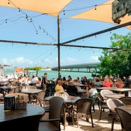 Islamorada’s Hungry Tarpon shut after rodents, insects found in kitchen