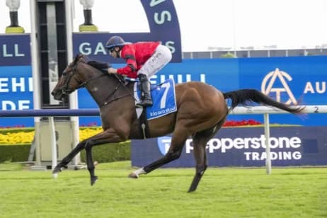 Over 60 three-year-olds nominated as Randwick Guineas field tightens