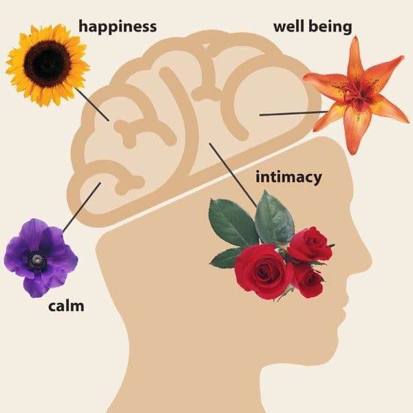 Useful personalized gifts create stronger emotional closeness, Duke study finds