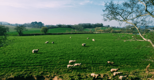 H&M Group Sets Science-Based Land Targets to Shrink Agricultural Footprint by 2030