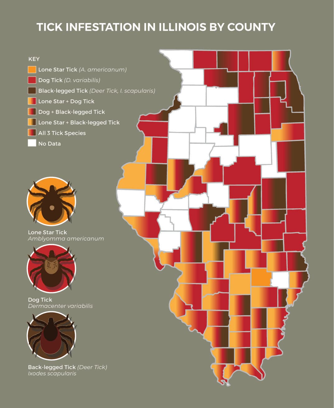 Morgan County warns of black-legged and Lone Star ticks spreading locally