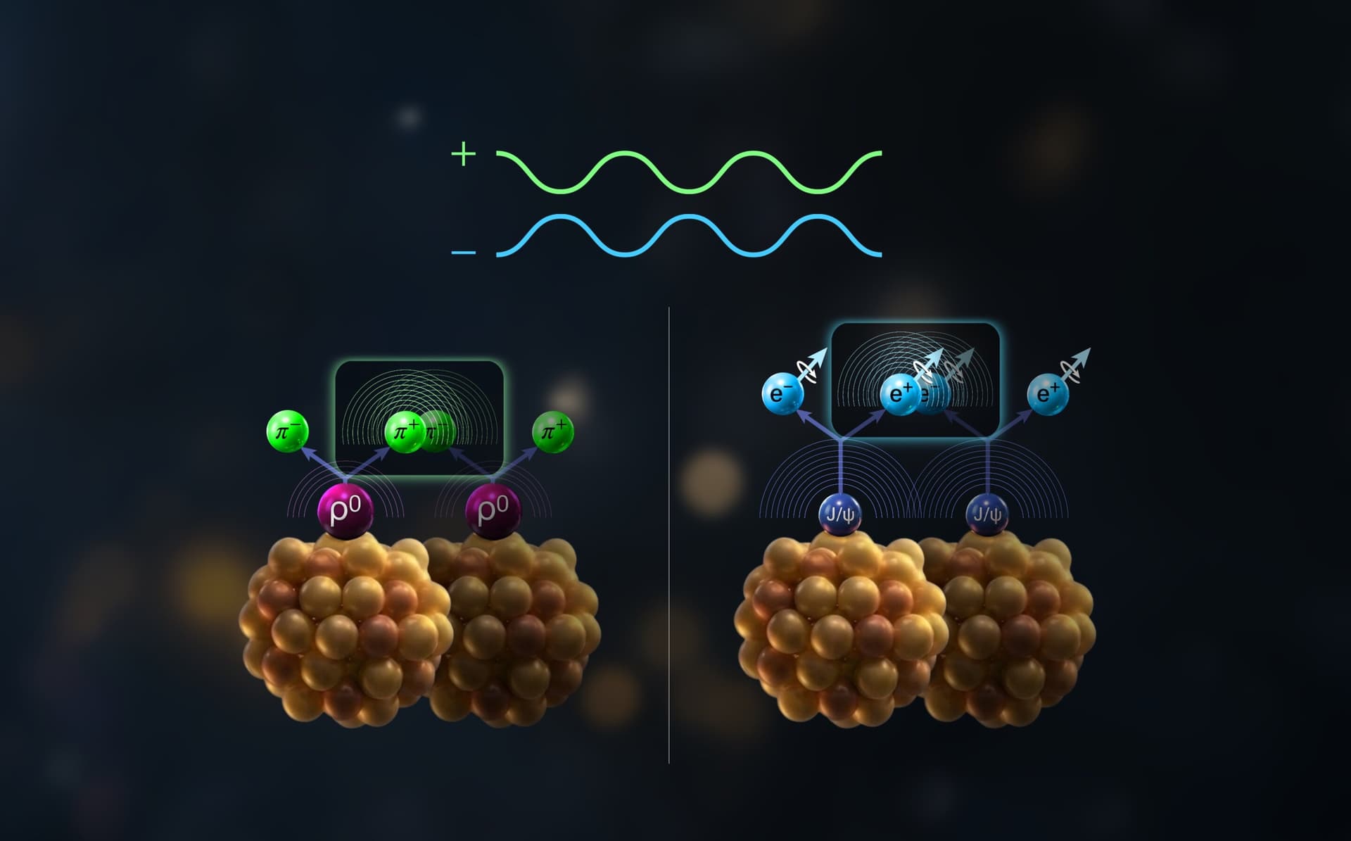 Brookhaven physicists use near-miss gold collisions to probe nuclear structure