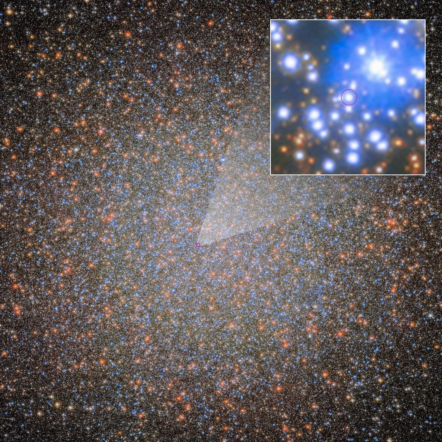 Hubble and Webb reveal a hidden black hole in Omega Centauri