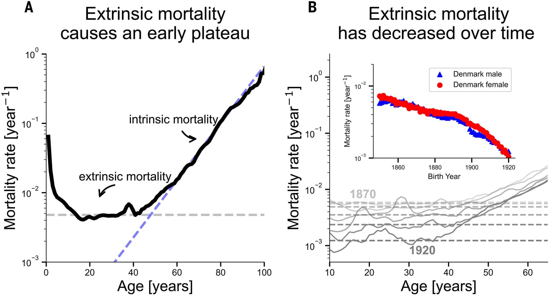 Genetics, Not Lifestyle, May Be the Bigger Key to a Long Life