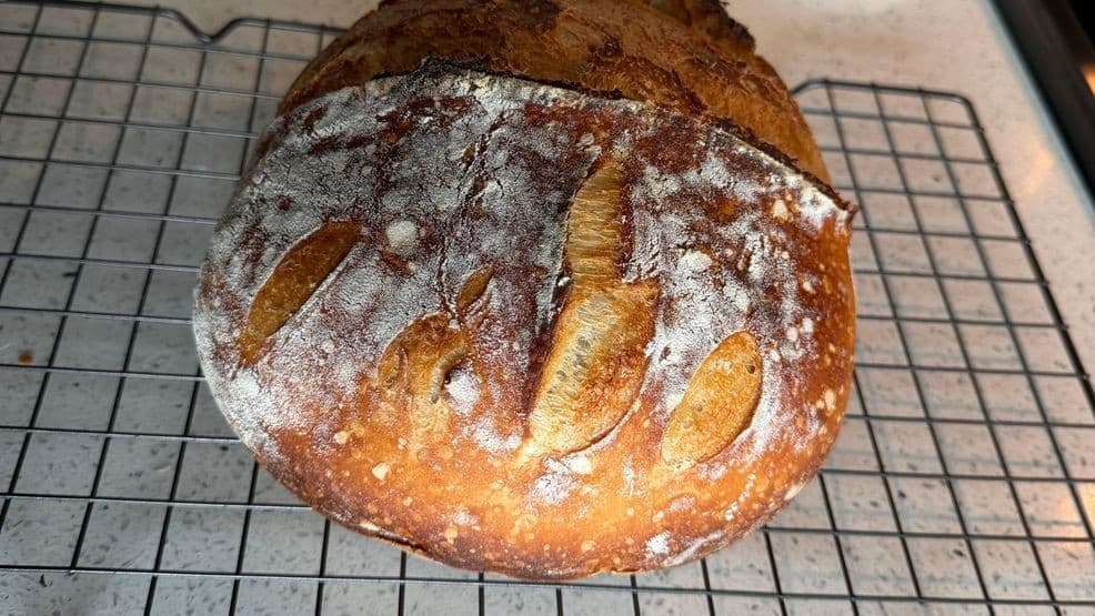 Seattle baking class turns sourdough beginners into confident bread makers