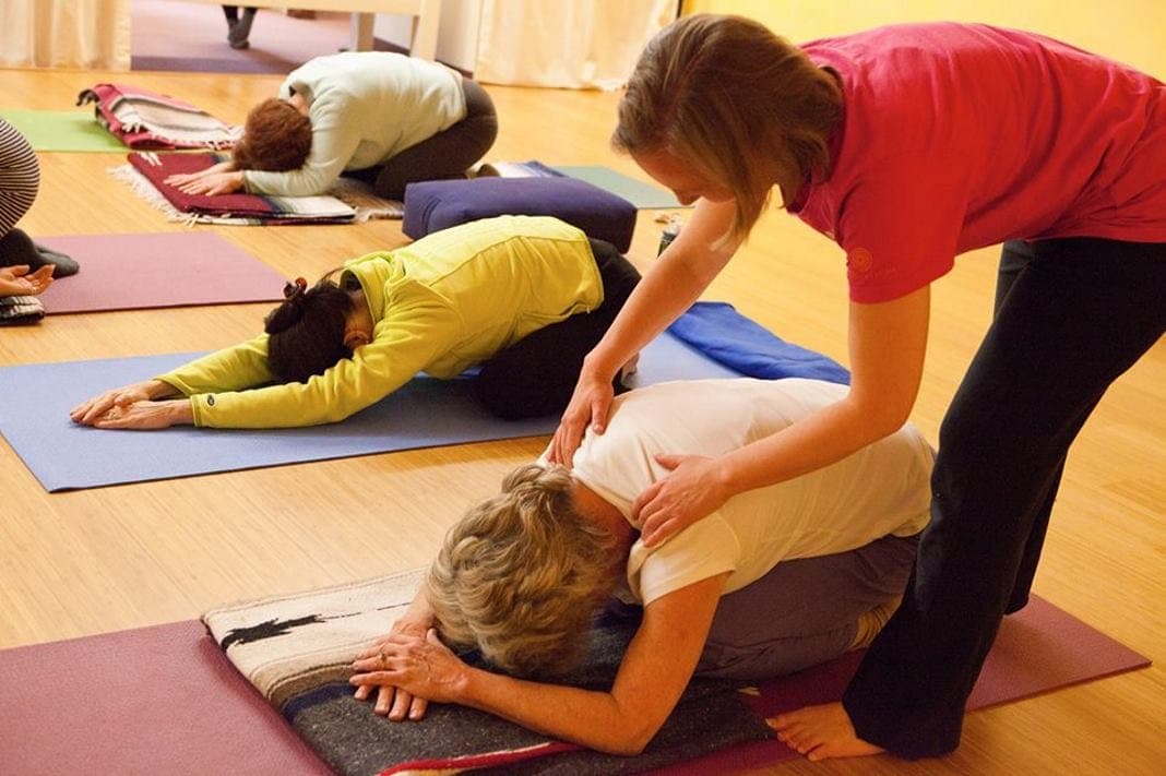Adaptive Yoga Moves From Niche to Mainstream Practice in 2026