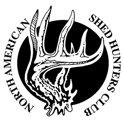 Shed hunting scoring follows strict rules, not just eyeballing length