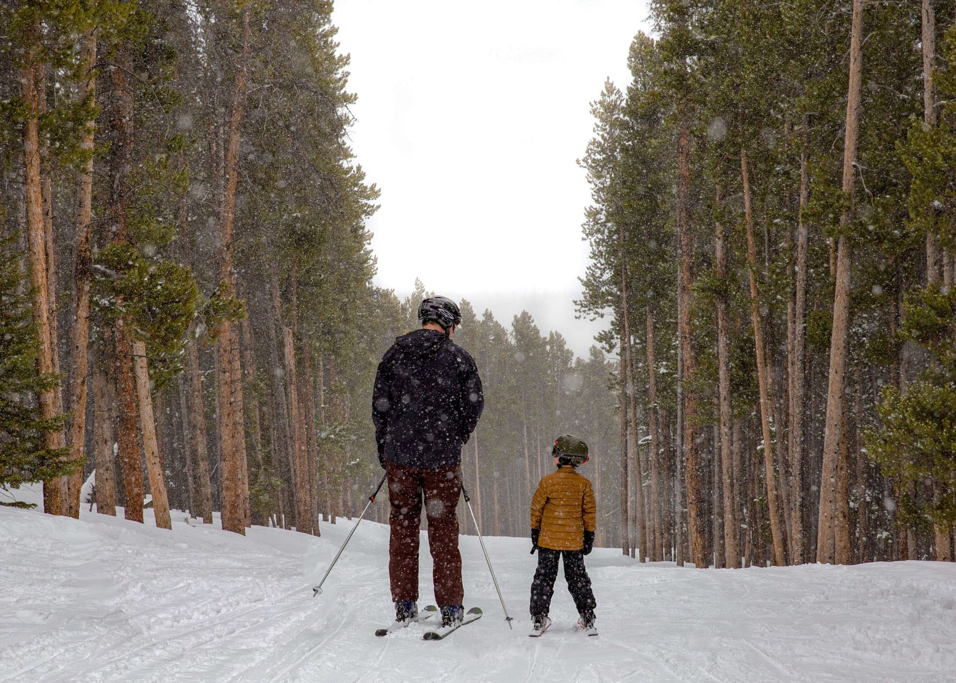 Winter Recreation Guide for Albany County Wyoming Snowy Range and Trails