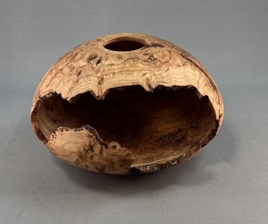 South Puget Sound Woodturners March Newsletter Highlights Symposium, Clinics, and Member Input