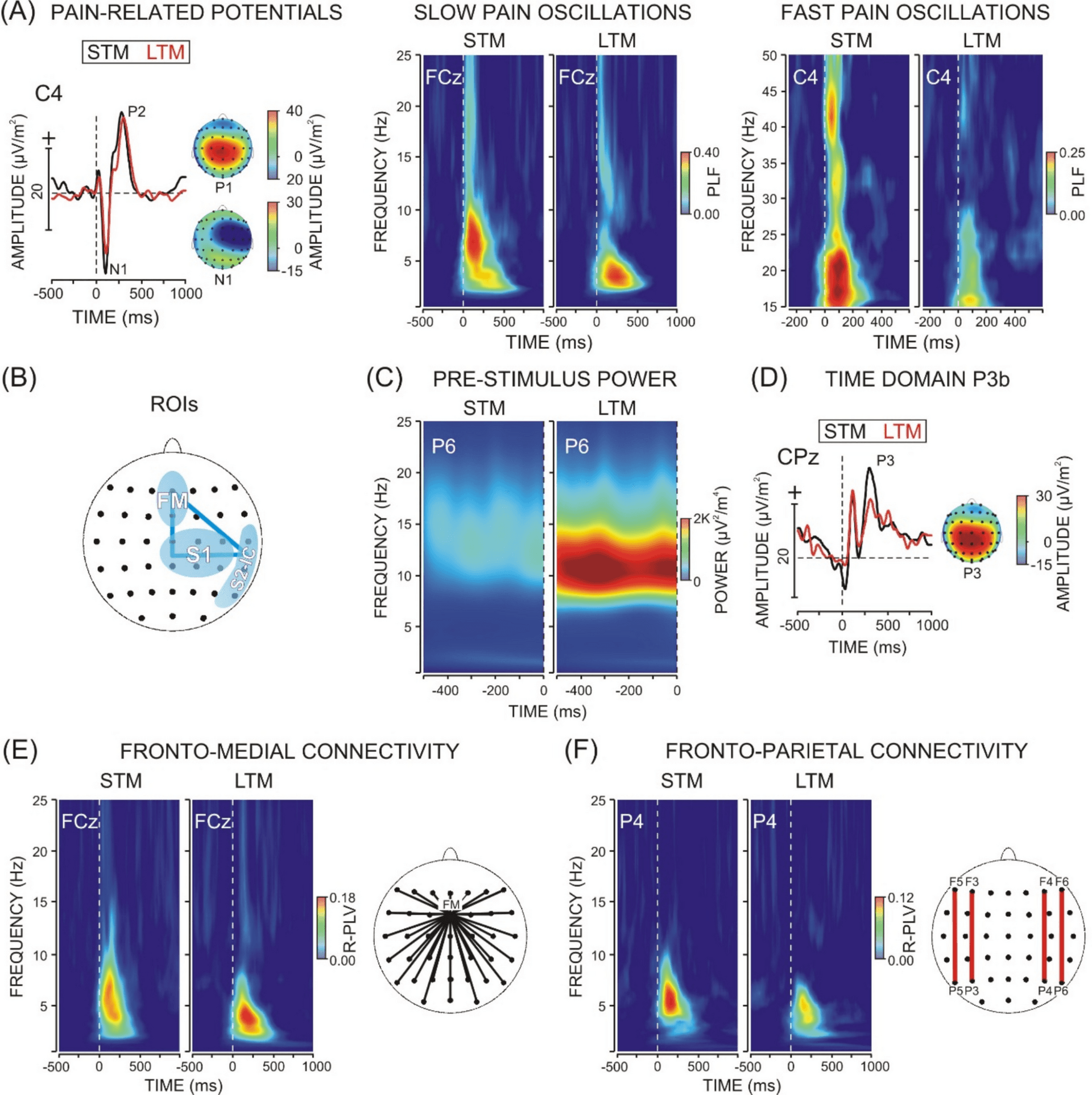 Meditation changes pain processing differently in novice and long-term meditators