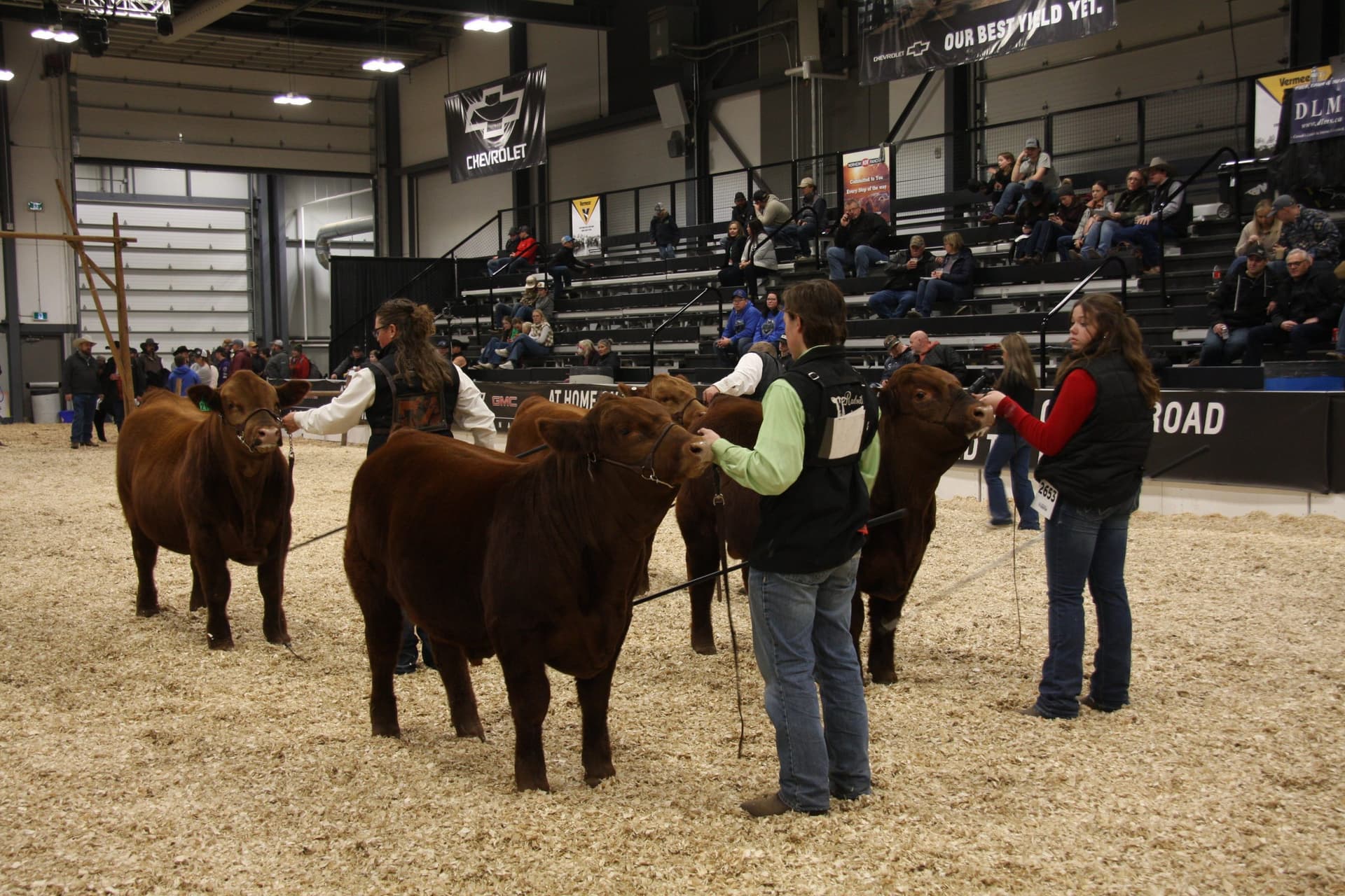 27th Annual Autauga Agribition Feb. 6-7 Showcases Swine, Cattle at Kirkpatrick Arena
