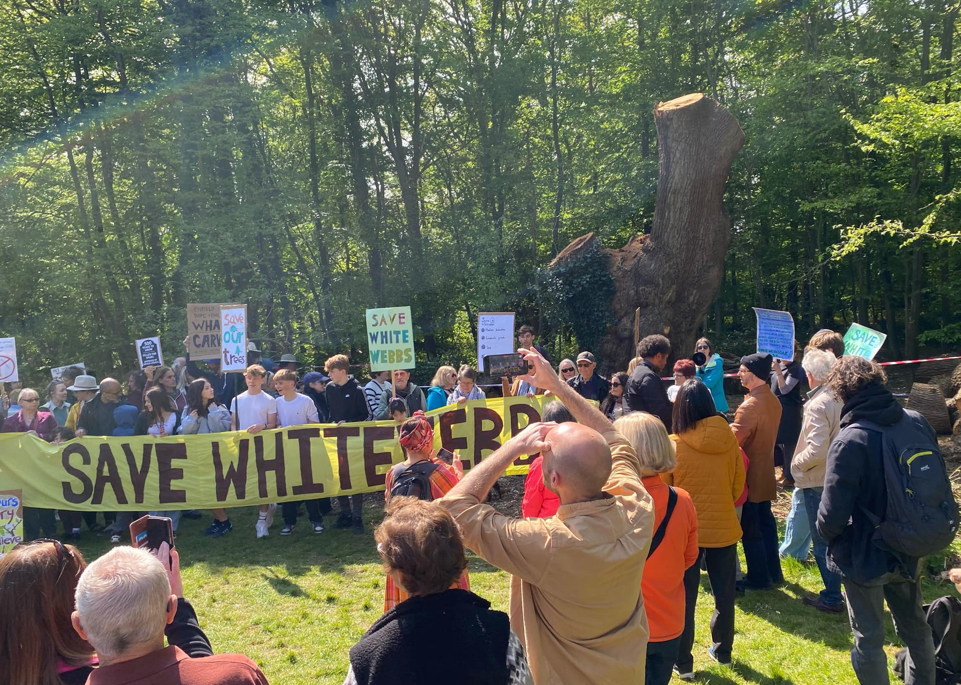 Investigation finds Toby Carvery illegally felled 500-year oak in Enfield
