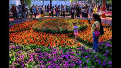 Empress Garden Flower Show in Pune Showcases Decades-Old Bonsai and 300,000 Plants