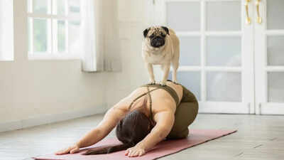 Puppy Yoga Blends Gentle Poses, Rescue Dogs, and Stress Relief